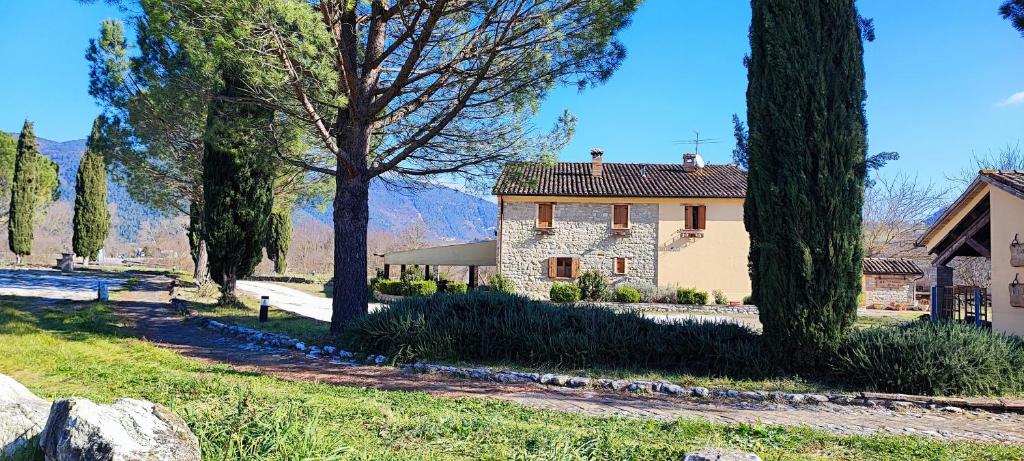 a house in a field with trees in front of it at Tenuta Le Garzaie - Villa Furlo in Fermignano