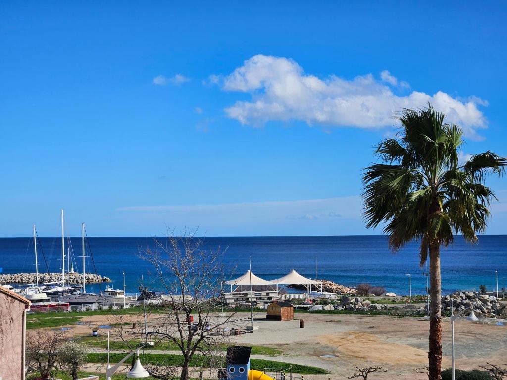 - une plage avec un palmier et l'océan dans l'établissement Palmeraie 136- Vue mer- piscine en résidence, à Sari-Solenzara