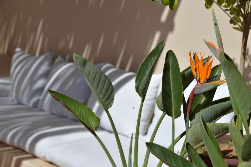 Posezení v ubytování Riad Palau Marrakech