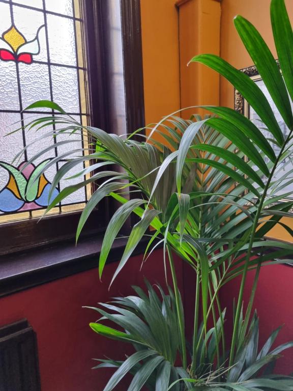 a potted plant in front of a stained glass window at The Windmill Hotel in London