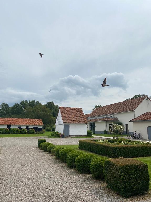 Quelques bâtiments avec des oiseaux volant dans le ciel dans l'établissement Hotel et restaurant Le Clos De La Prairie, à Gouy-Saint-André