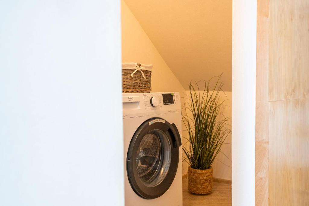 a washing machine in a laundry room with a plant at La Casetta sul mare in Castellammare del Golfo