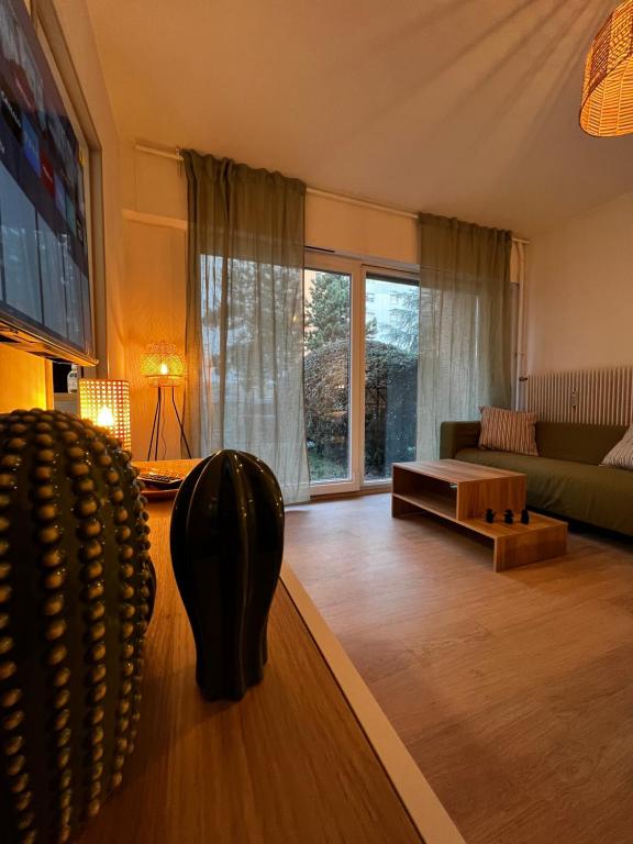 Proche Centre Mulhouse - Studio cosy – photo 5