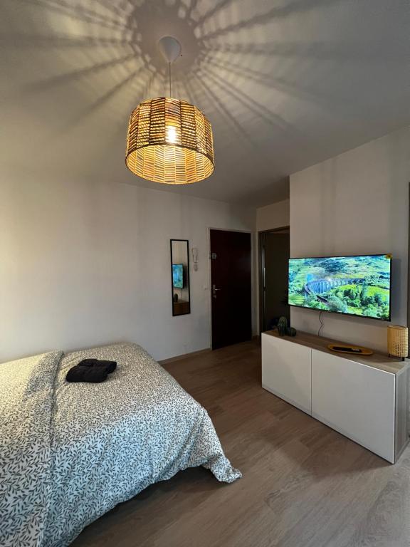 Proche Centre Mulhouse - Studio cosy – photo 13