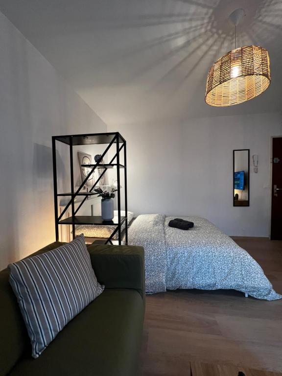 Proche Centre Mulhouse - Studio cosy – photo 11