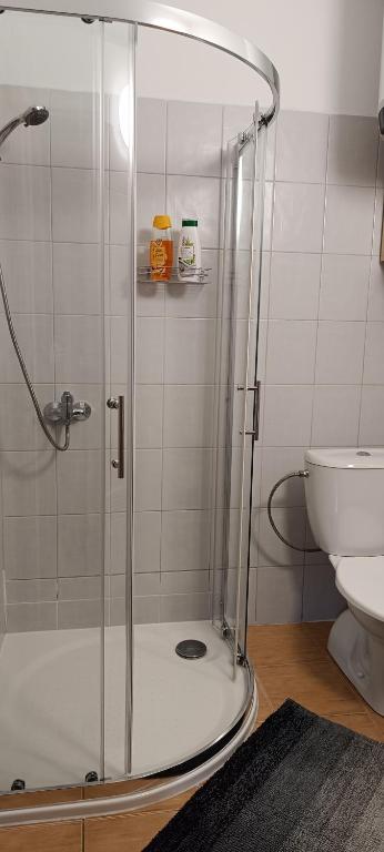 Koupelna v ubytování Ubytování Švrčinová