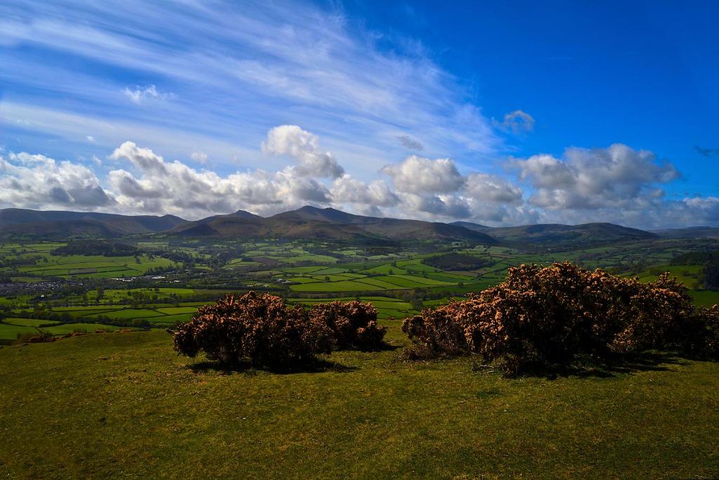 a view of a green field with mountains in the background at Waun Yscir Rural escape in the Brecon Beacons in Brecon