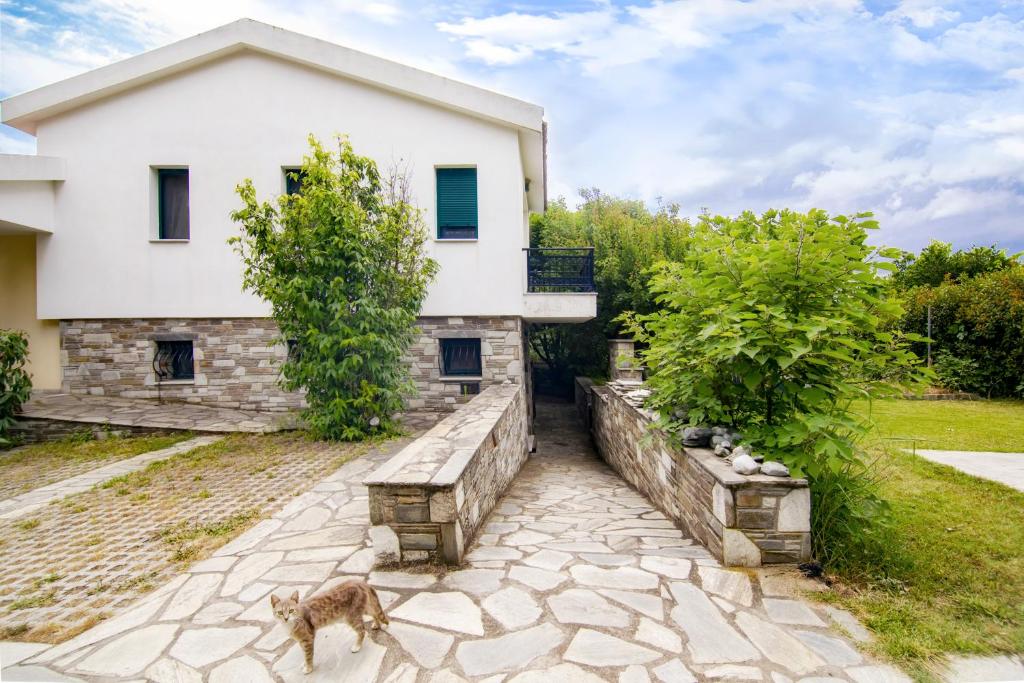 Zahrada ubytování Ileana's house