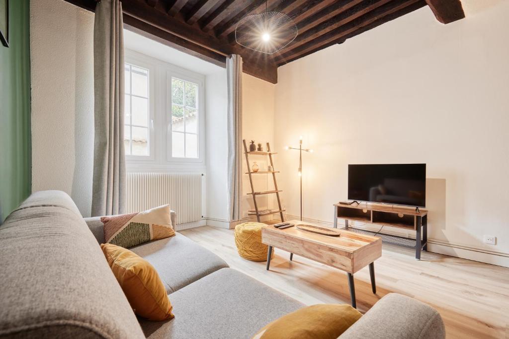 a living room with a couch and a tv at L'authentique Bressan in Bourg-en-Bresse