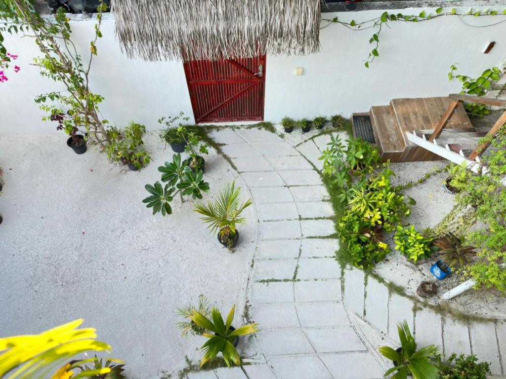 Zahrada ubytování AHI Maldives