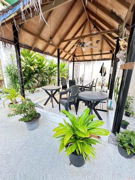 Zahrada ubytování AHI Maldives