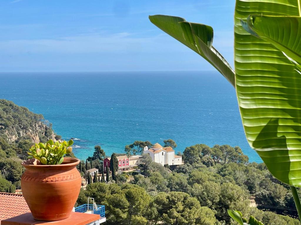 una planta en un jarrón sentado en la parte superior de un edificio en SeaHomes Vacations, LA CASA BLUE Mediterranean Lifestyle, en Blanes