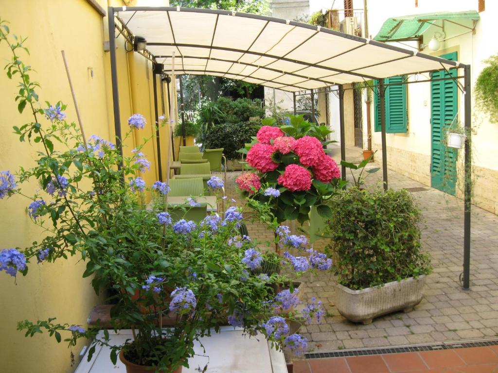 Zahrada ubytování Albergo Natucci