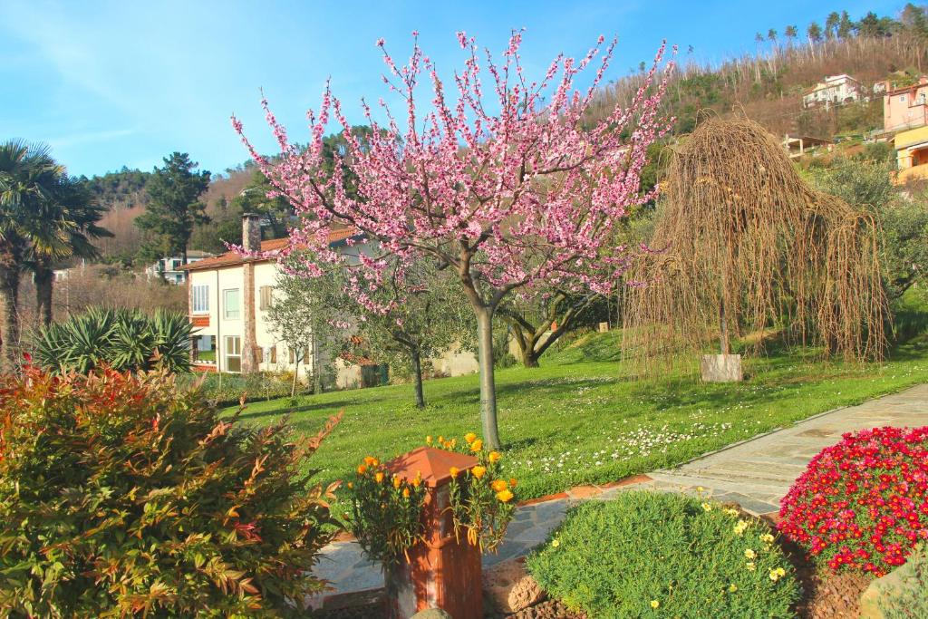 Zahrada ubytování Casa vacanze Ester