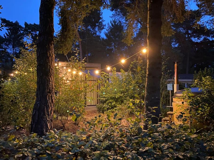 einen Garten in der Nacht mit Licht an einem Haus in der Unterkunft Tiny House met Hottub op de Veluwe in Beekbergen