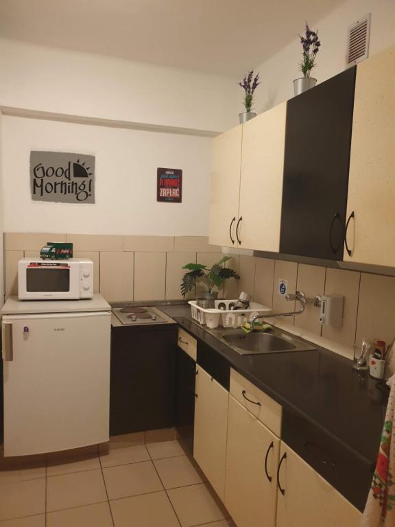 Kuchyňa alebo kuchynka v ubytovaní Goldapartman Salgótarján