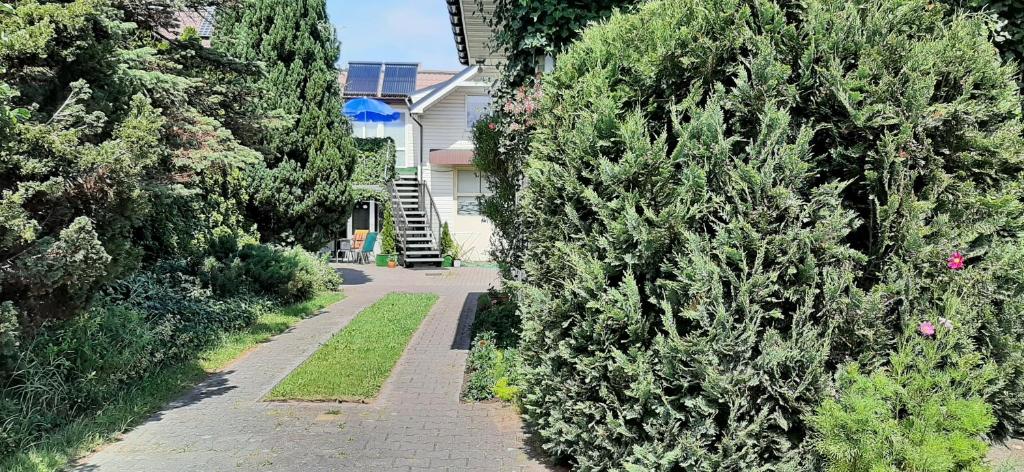ogród z drzewami i dom ze schodami w obiekcie Noclegi u Gosi Mosty koło Gdyni w mieście Mosty