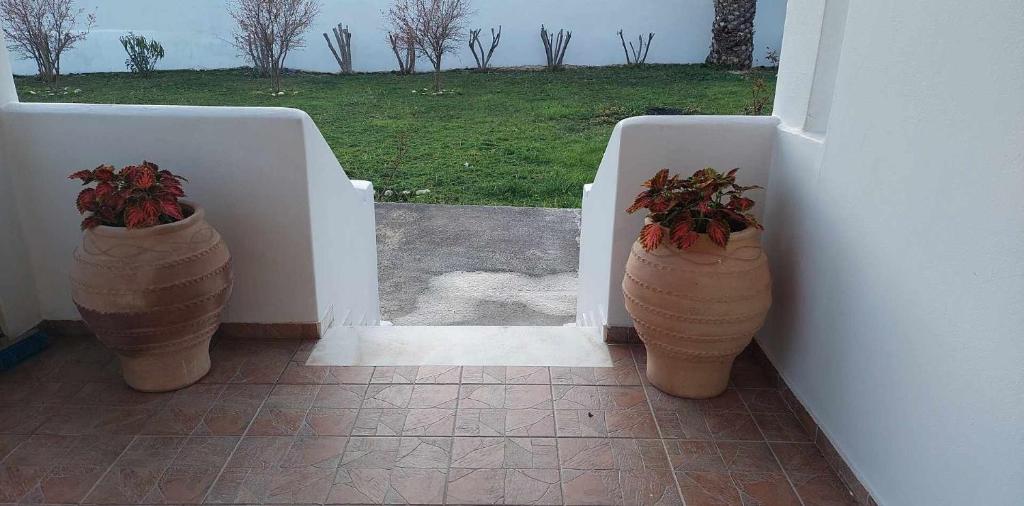 Deux grands vases avec des fleurs en face d'une porte dans l'établissement Nereid Skyros House, à Skiros