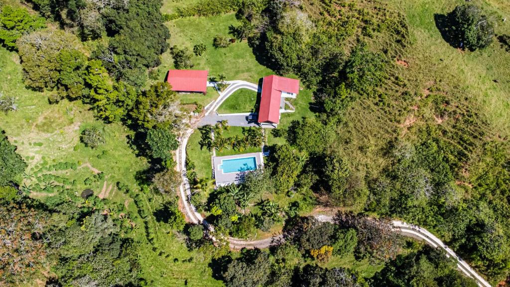 uma vista aérea de uma casa no meio de uma floresta em Finca Mango - 40 acre paradise 