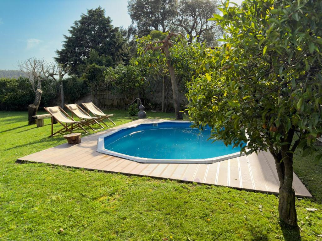 a swimming pool in a yard with two chairs and a tree at Olival House in Paço de Sousa