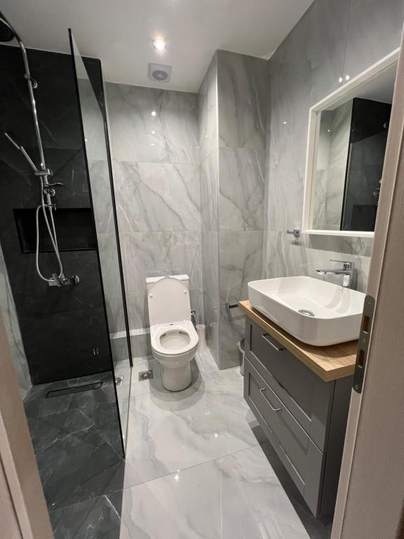 y baño con aseo, lavabo y ducha. en Η Ιδανική Κατοικία για Χαλάρωση, en Pireo