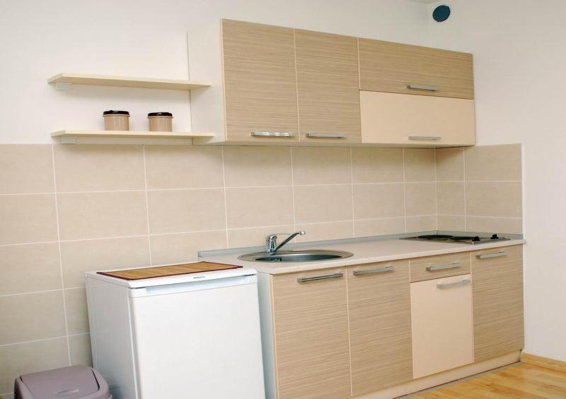 eine Küche mit einer Spüle und einem Kühlschrank in der Unterkunft Apartmani Kesten in Vrnjačka Banja