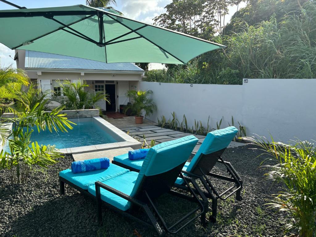ein Paar Stühle und ein Sonnenschirm neben einem Pool in der Unterkunft Villa Elise Jolie Maison , Piscine, WiFi, pour 7 personnes in Ducos