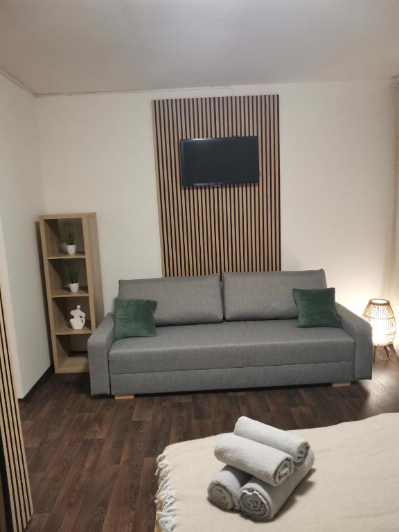 a living room with a couch and a tv at Klatovy Apartment in Klatovy