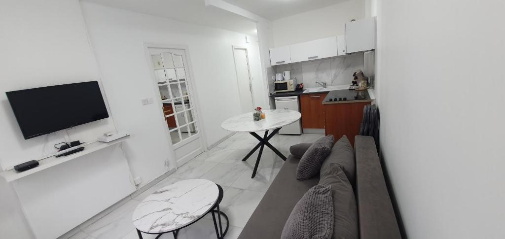 Kuchyňa alebo kuchynka v ubytovaní Appartement centre de Annemasse