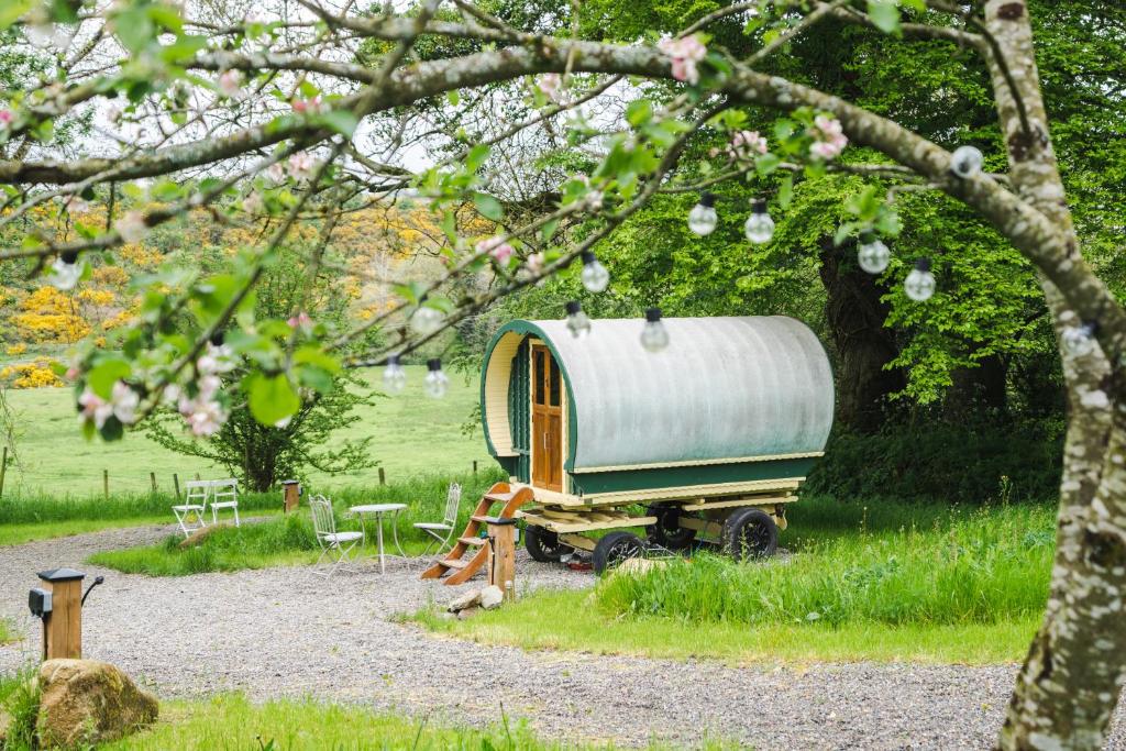 a tiny house sitting on a trailer under a tree at Glamping at The Old Rectory in Dún Ard