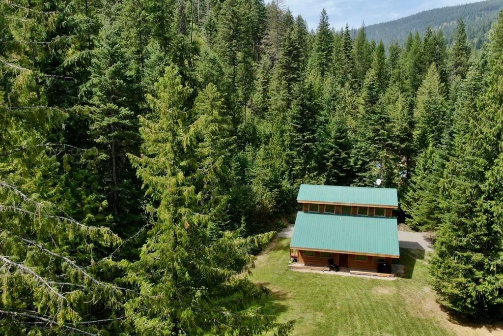 a house with a blue roof in the middle of a forest at Cedar Cabin Near Silverwood in Spirit Lake