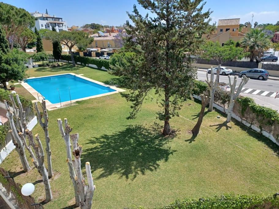 un patio con piscina y un árbol en Áncora Costa en El Puerto de Santa María