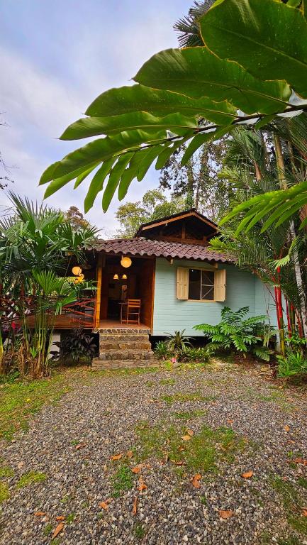 una piccola casa verde con una palma di fronte di Villa Rameen a Puerto Viejo