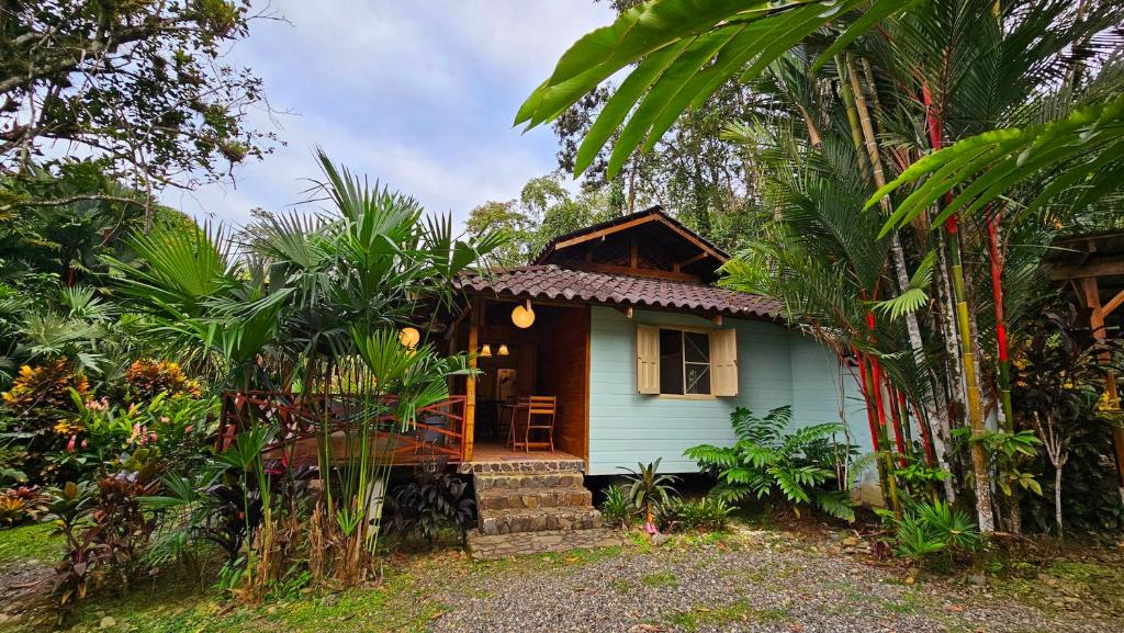 Zahrada ubytování Villa Rameen