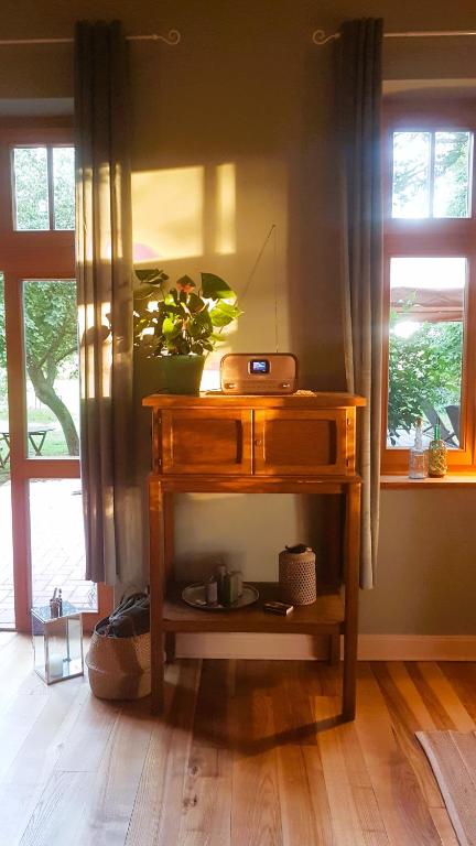 a wooden table with a potted plant on top of it at Ferienhaus Salvia in Gremersdorf