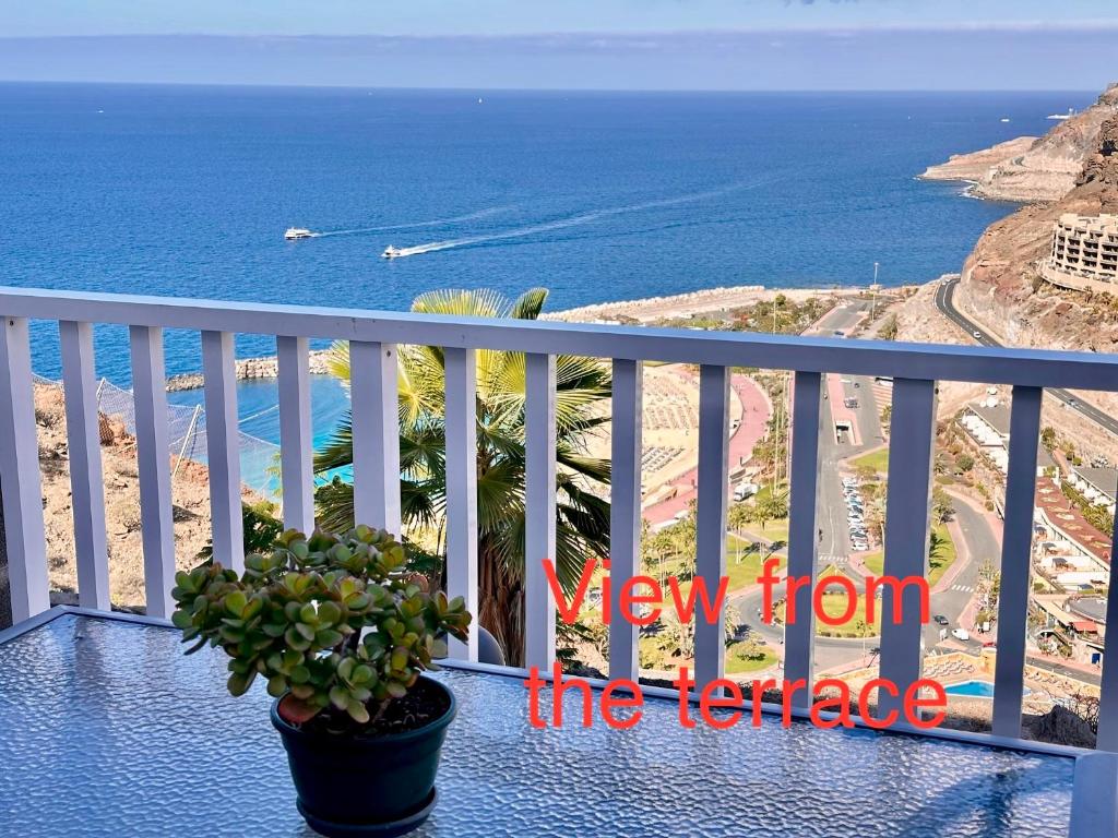 un balcón con una maceta y el océano en Perla de Amadores en Amadores