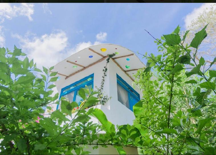 Zahrada ubytování Maison Bacalar