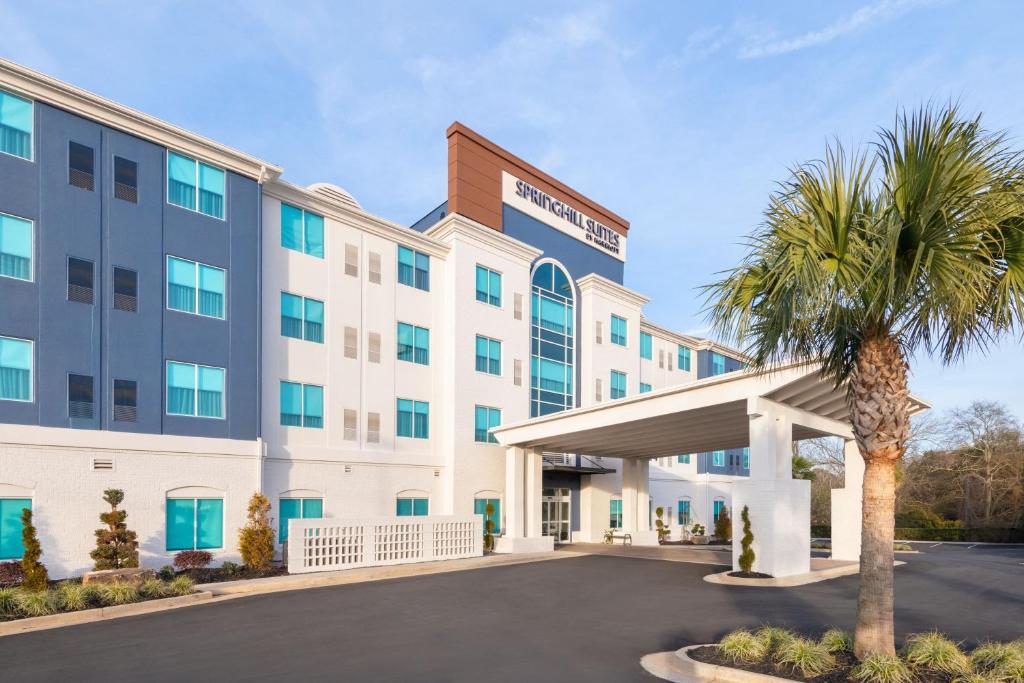 una imagen de la parte delantera de un hotel con una palmera en Springhill Suites by Marriott Conyers, en Conyers