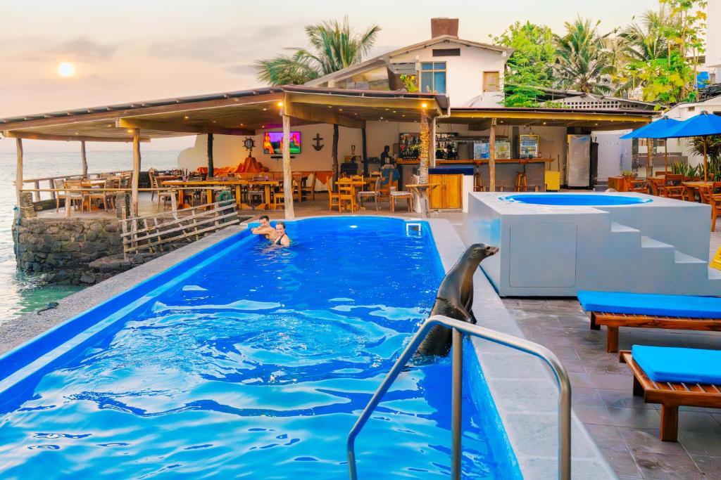 un delfino in piscina in un resort di Hotel Solymar a Puerto Ayora