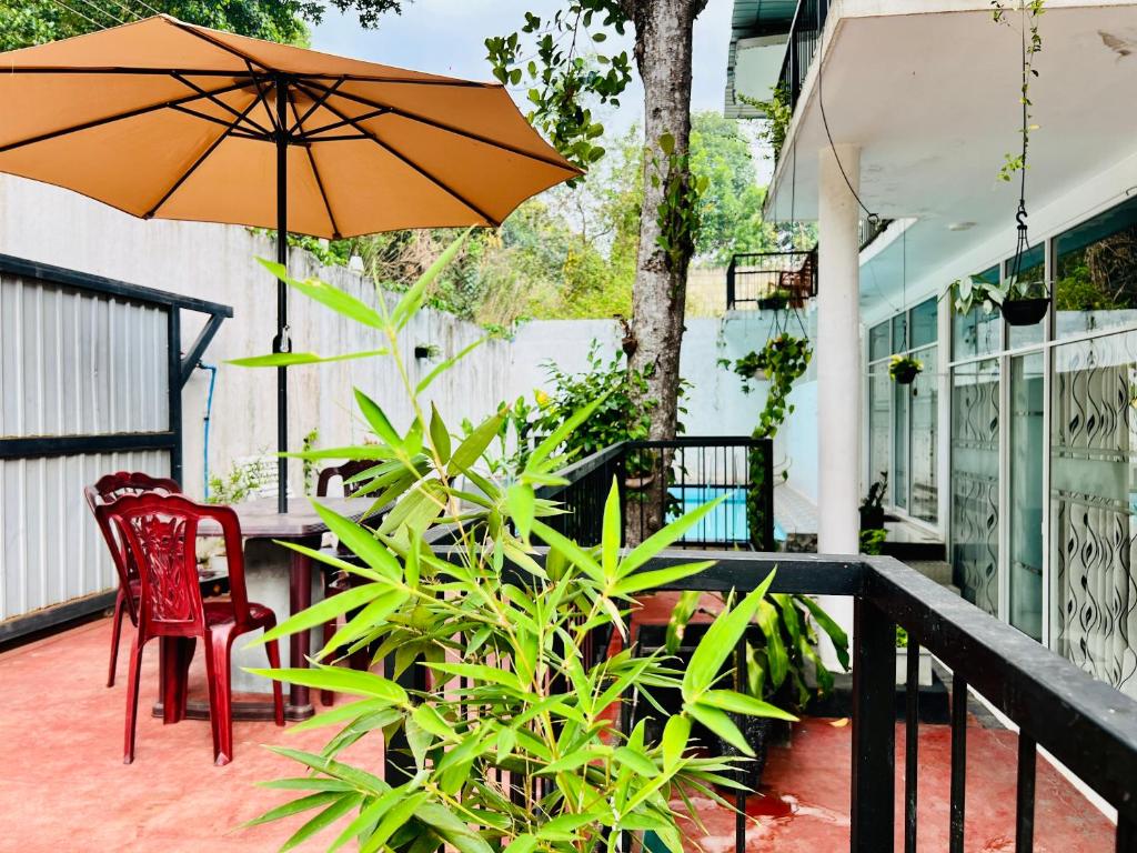 Zahrada ubytování Eco Resort Kandy