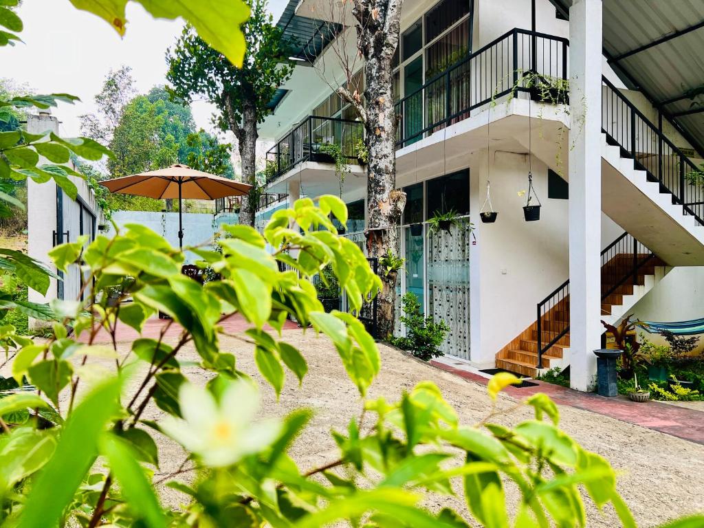 Zahrada ubytování Eco Resort Kandy