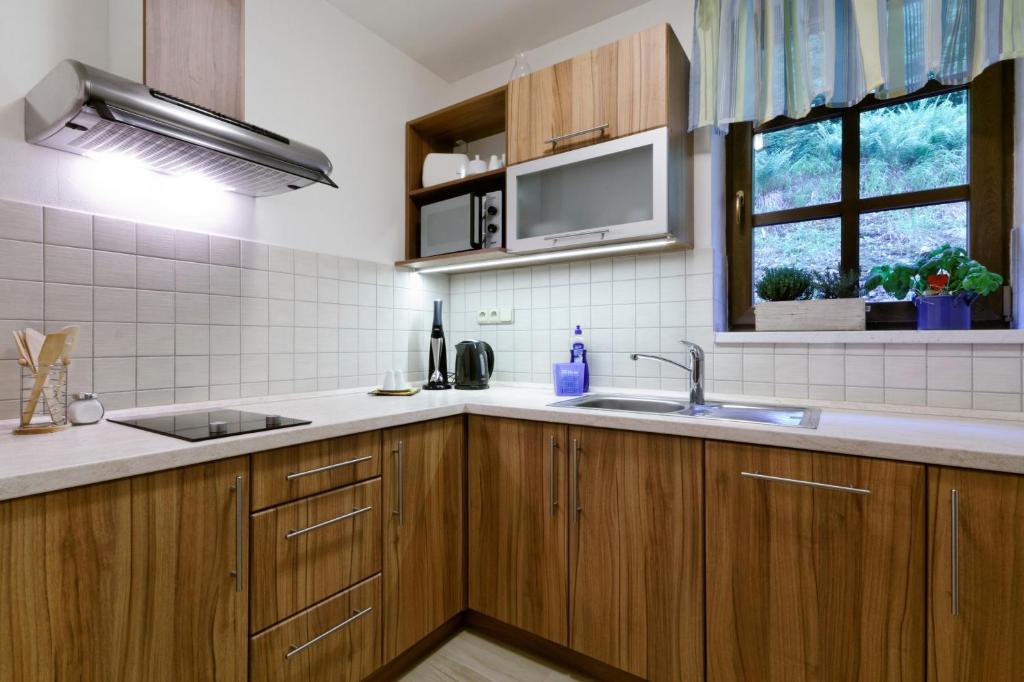 Fotografie z fotogalerie ubytování Pension Hollmann v destinaci Harrachov