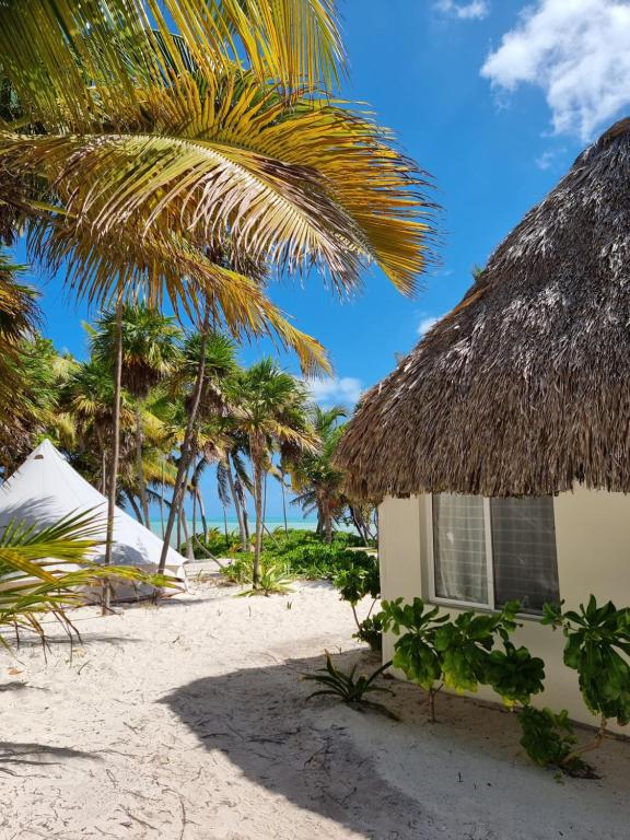 un complejo en la playa con palmeras en Hotel Cielo y Selva, en Punta Allen
