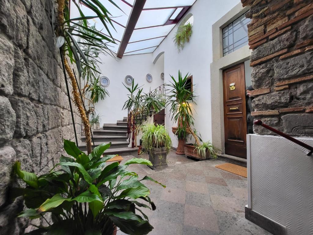 un patio interior con plantas en un edificio en Alloggio turistico Santa Rosa en Viterbo