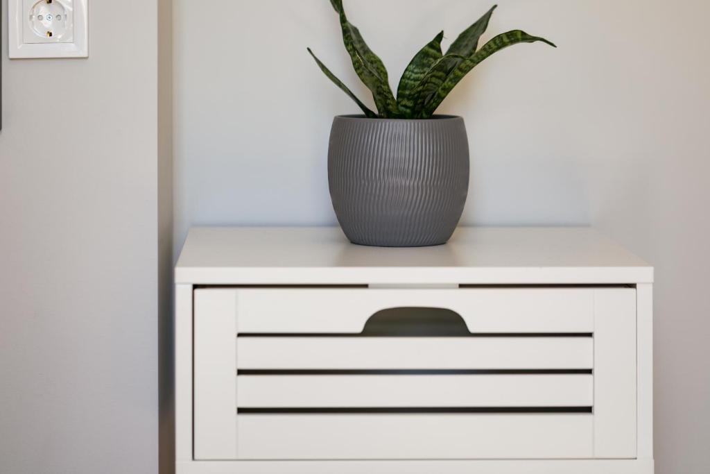 Comfort City Suites & Rooms - 11