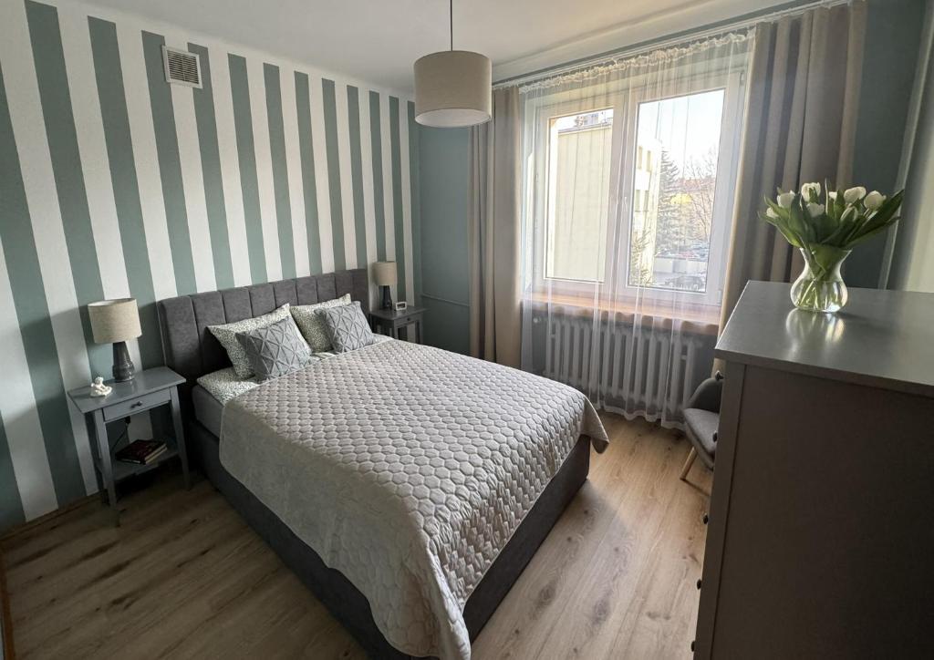 Un dormitorio con una cama y una pared rayada. en Apartament Akacja CENTRUM, en Rzeszów