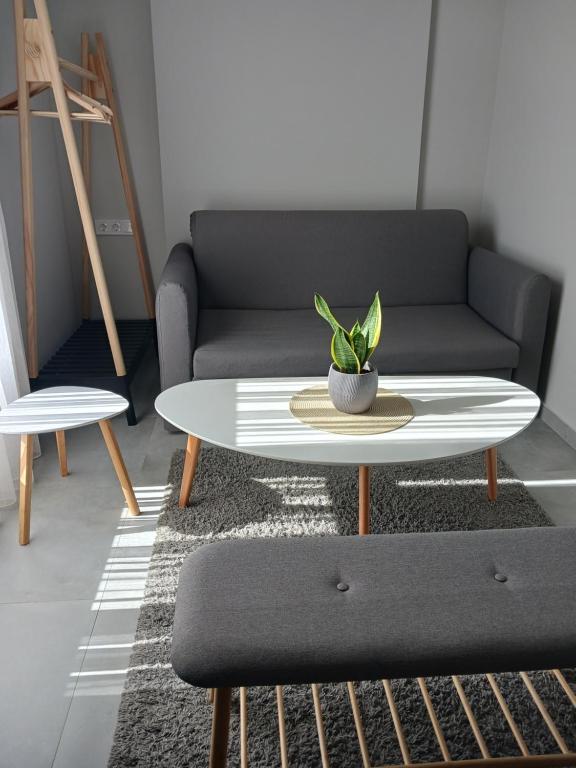 Comfort City Suites & Rooms - 19