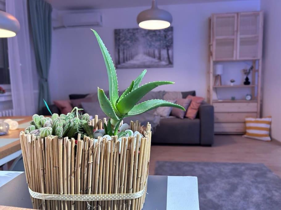 a vase with a plant on a table in a living room at Apartment Fiore in Smederevo