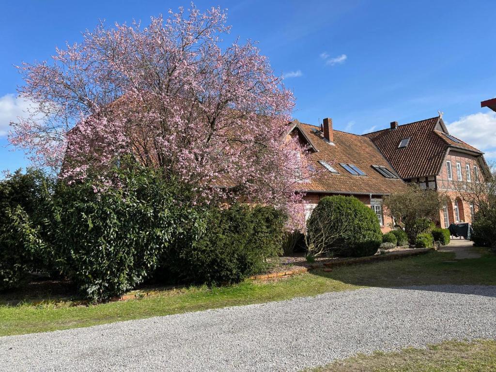 a house with a flowering tree in front of it at Ferienwohnung AllerStall in Buchholz Aller