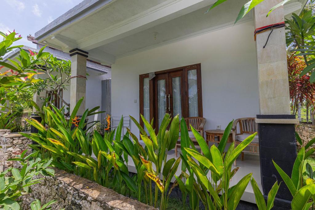 Gapul pinpilinPauxa - 8